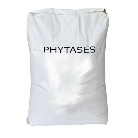 PHYTASES